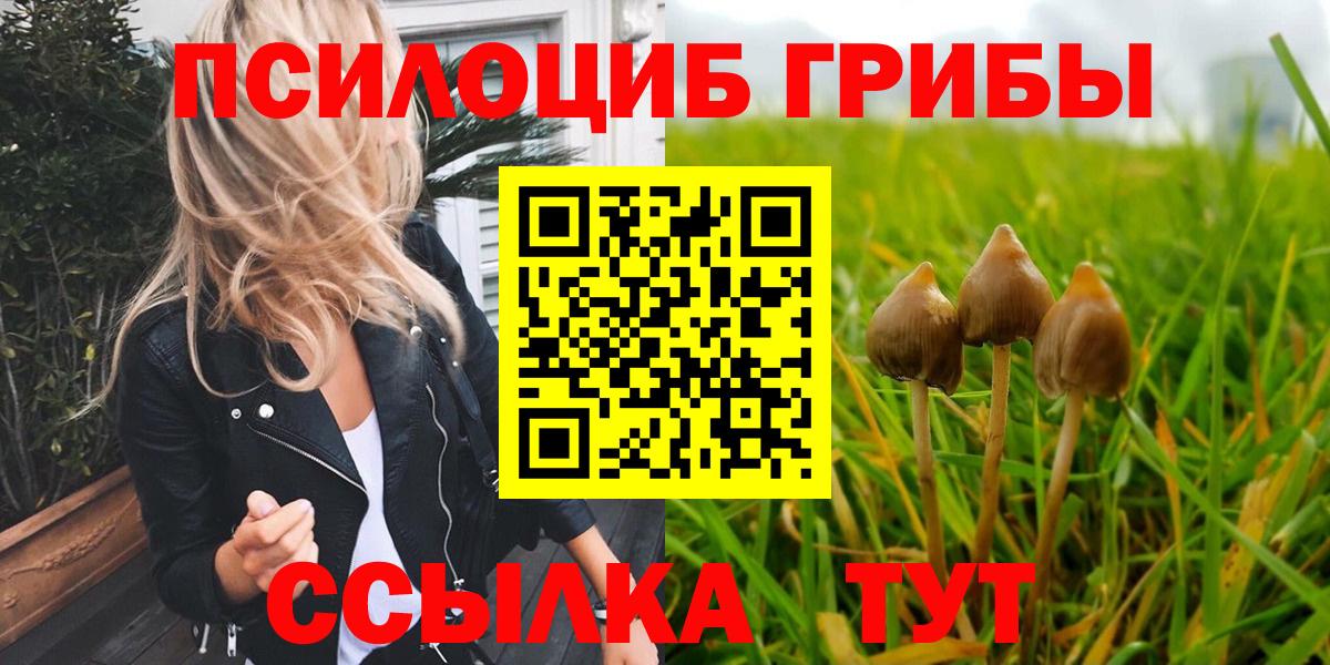Кудымкар  Галлюциногенные грибы Psilocybine cubensis  Вход с VPN 