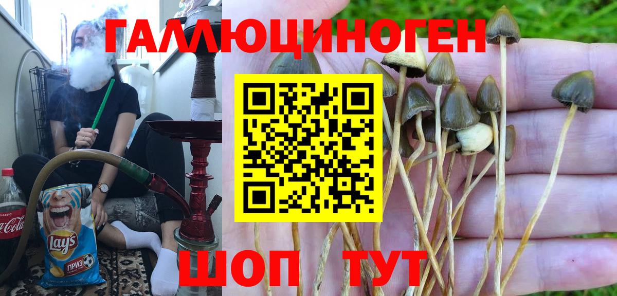 Галлюциногенные грибы GOLDEN TEACHER Кудымкар